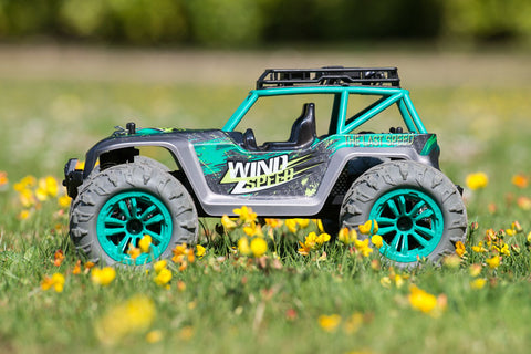 RCG Racing Wind Speed 1/16 Buggy - Green slide 2