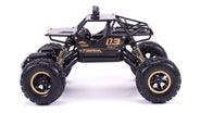 RCG Racing RC 1/16 Rock Crawler - Black