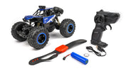 RCG Racing RC 1/16 Rock Crawler Pro - Blue